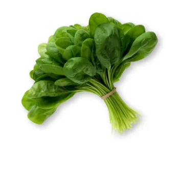 Spinach (25)-6515274-82956.webp